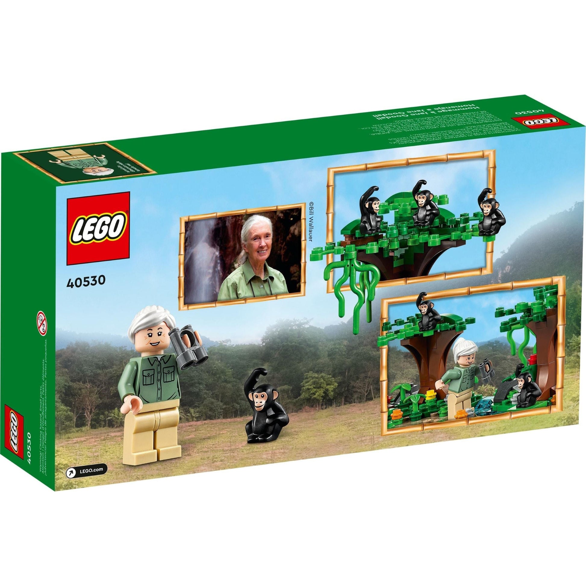 Hommage à Jane Goodall | Promotionnel | 40530