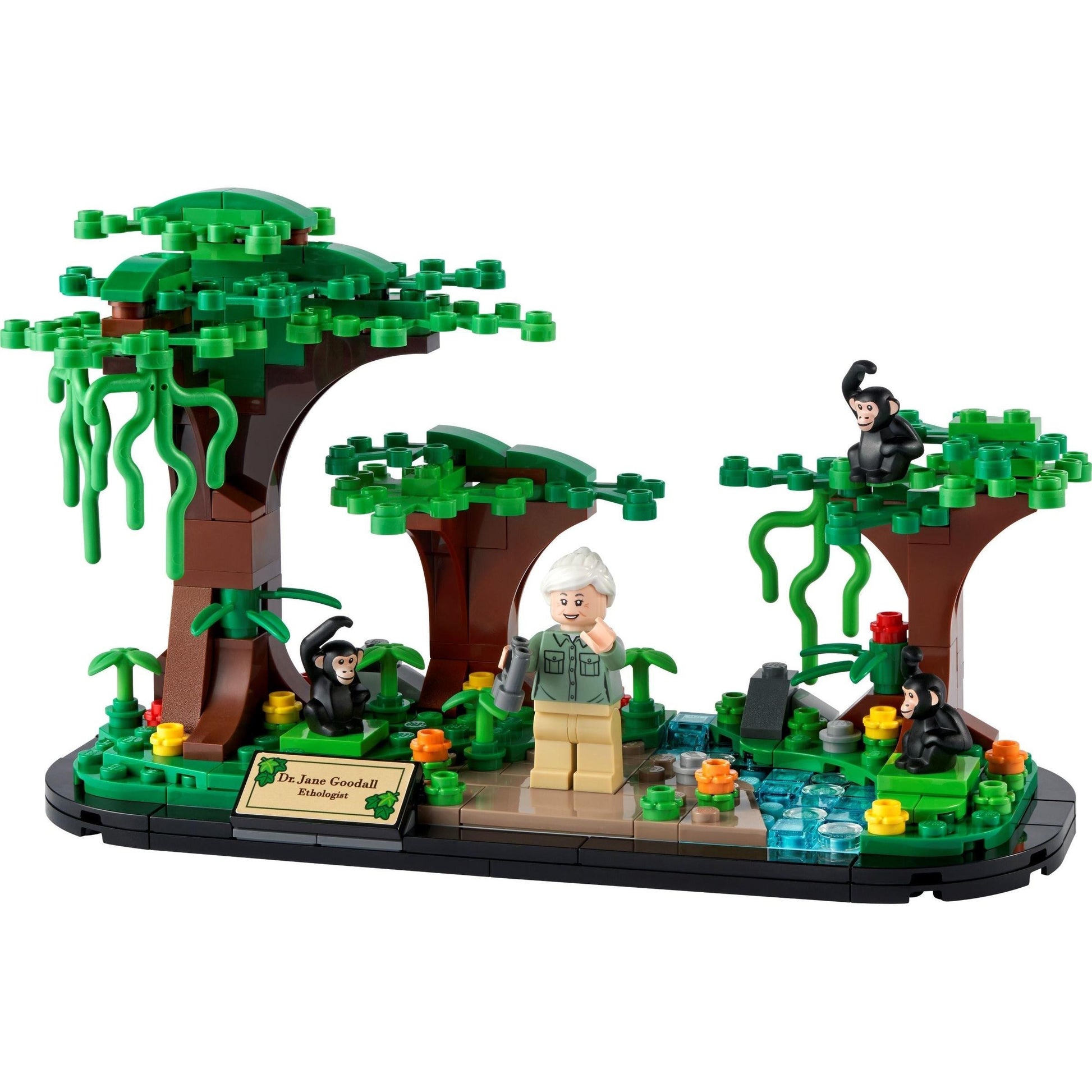 Hommage à Jane Goodall | Promotionnel | 40530