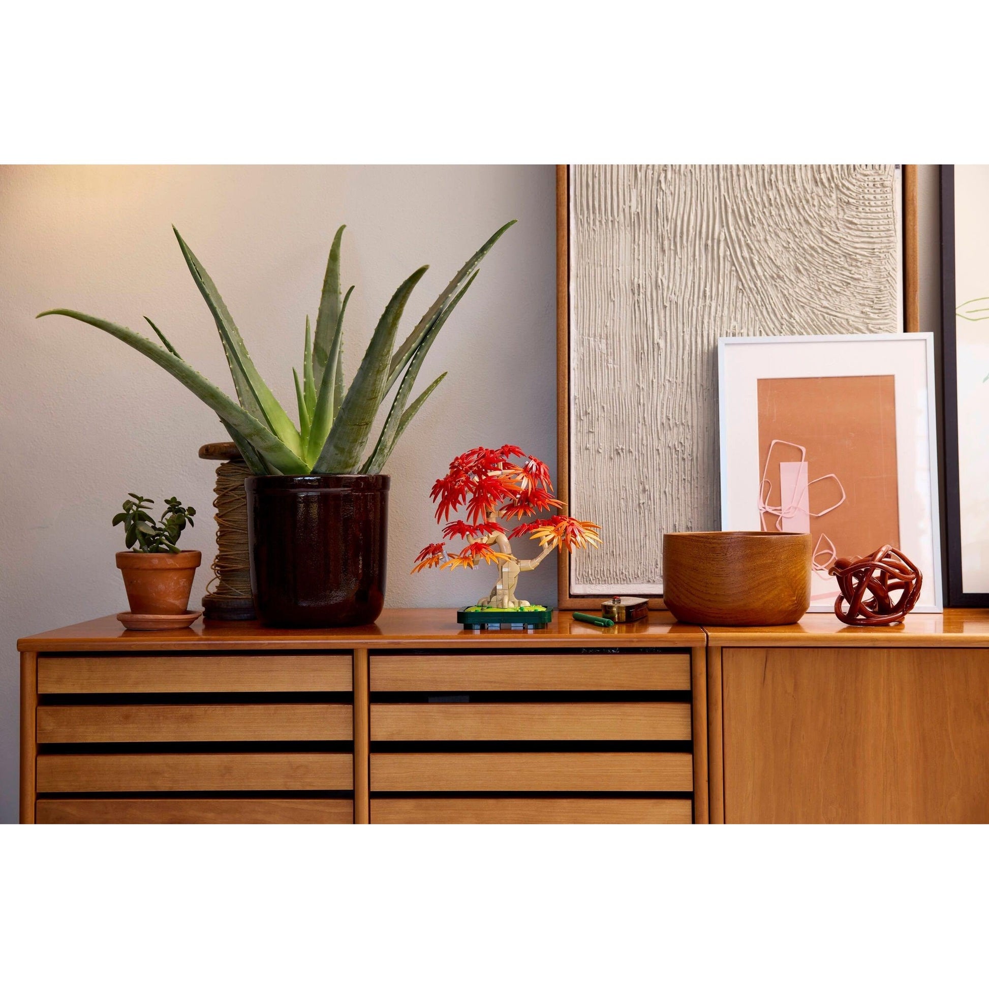 Japanese Maple Tree | Botanicals | 10348