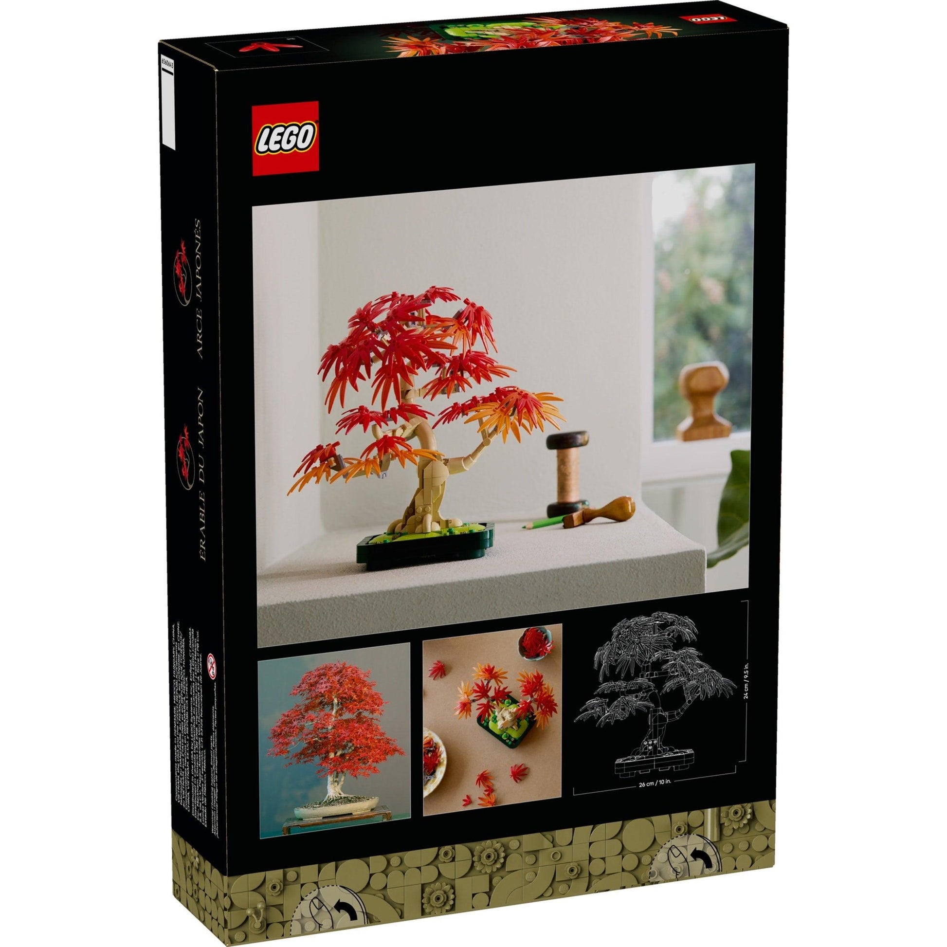 Japanese Maple Tree | Botanicals | 10348