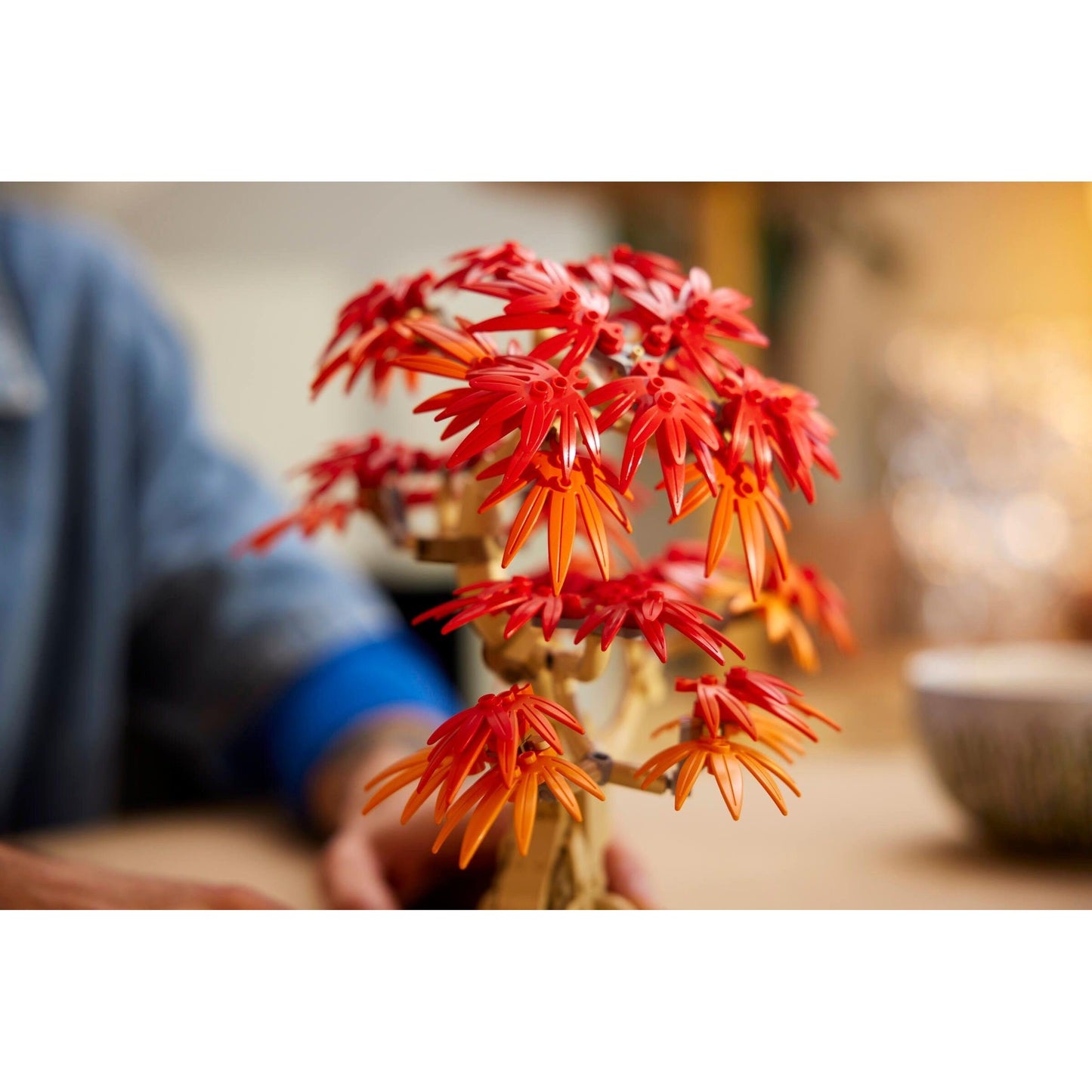 Japanese Maple Tree | Botanicals | 10348