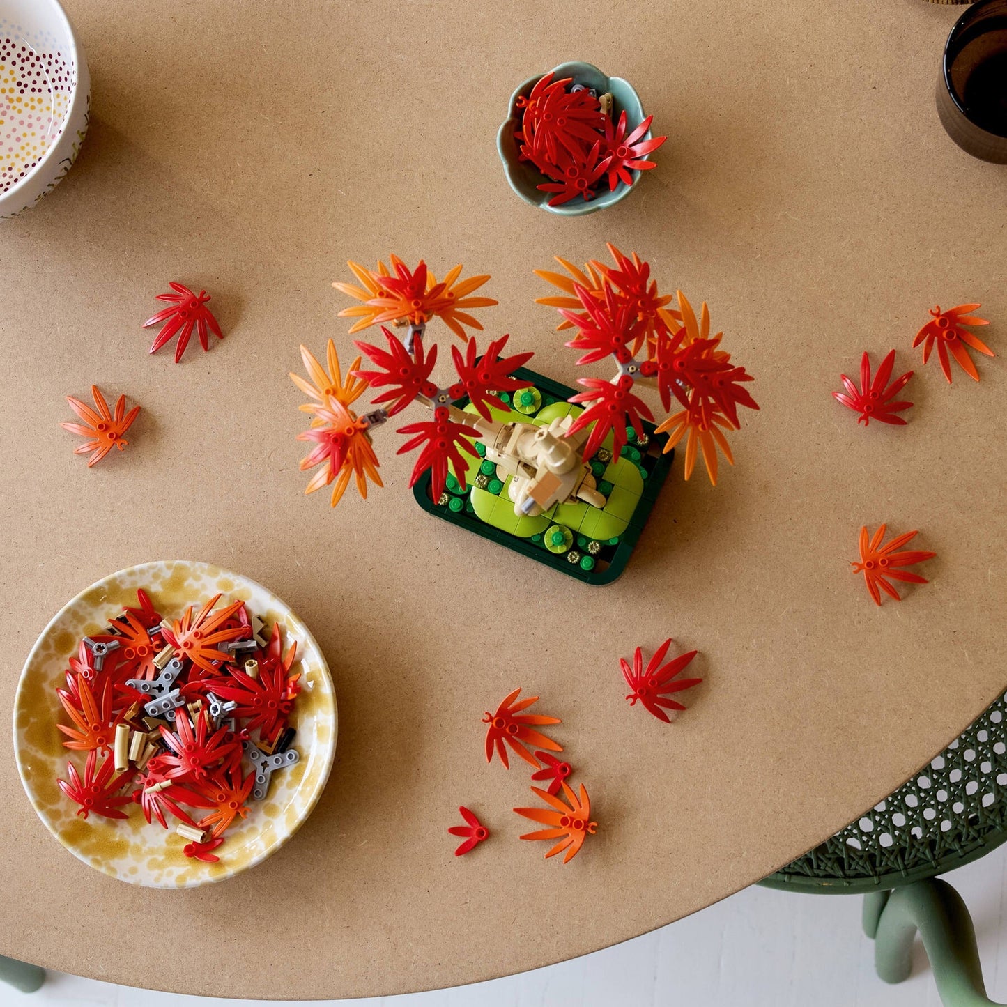 Japanese Maple Tree | Botanicals | 10348