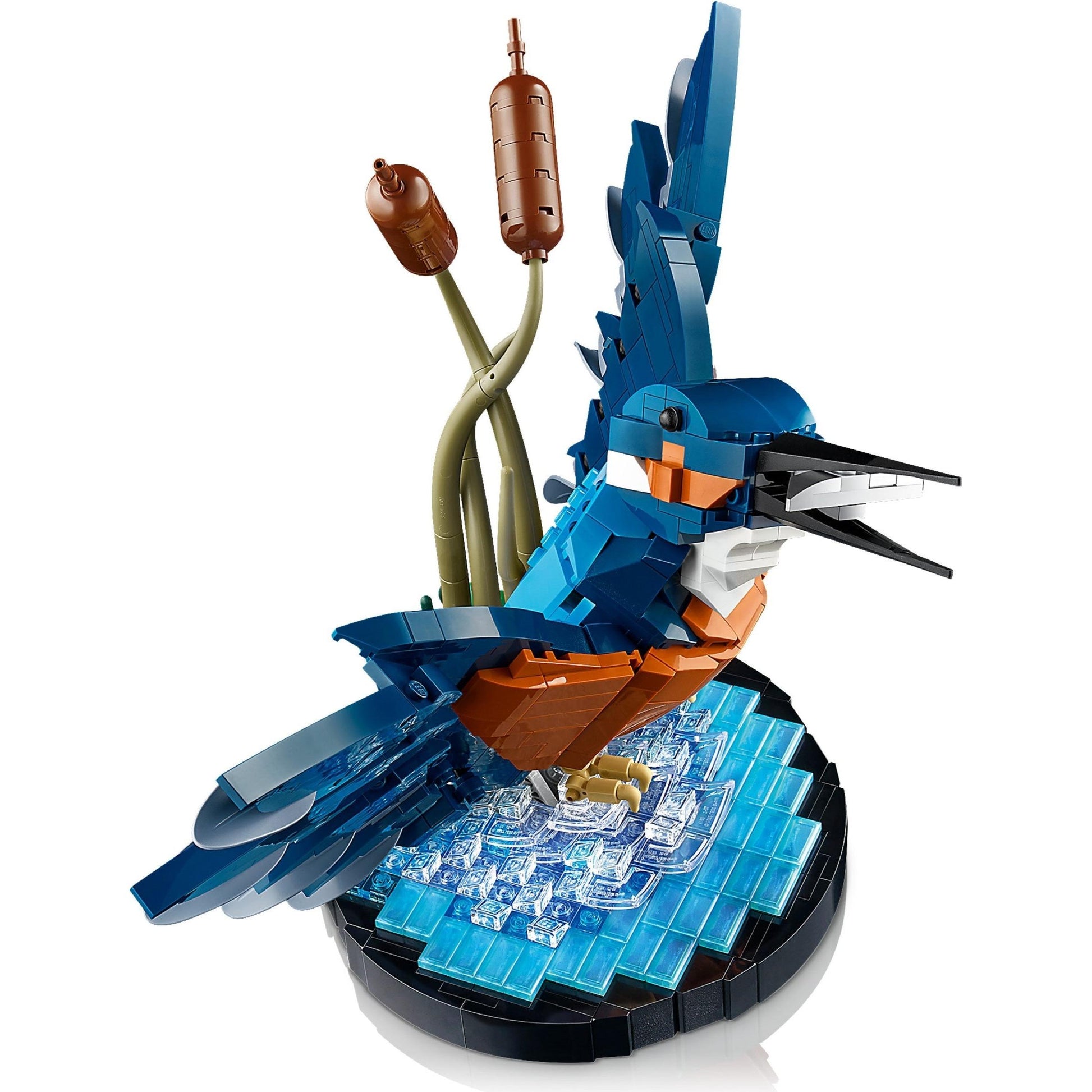 Kingfisher | Icons | 10331