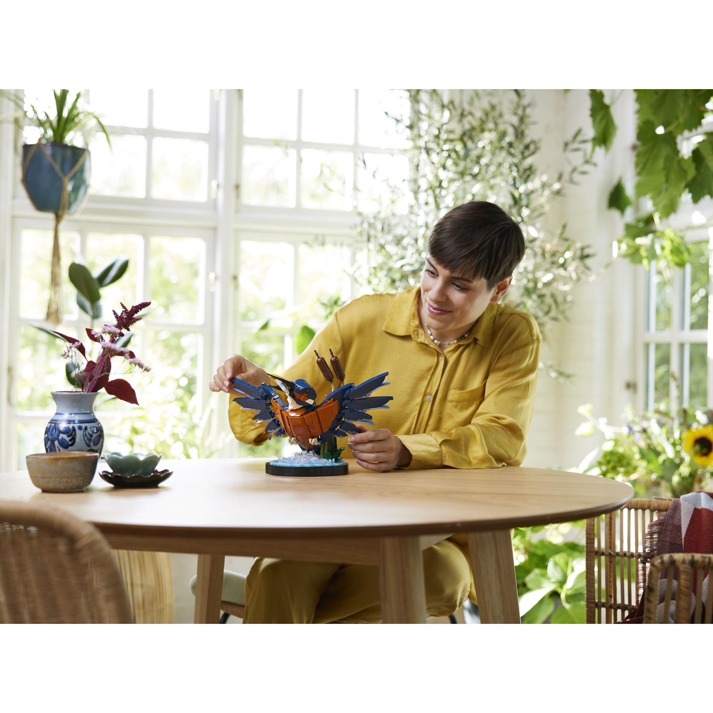 Kingfisher | Icons | 10331