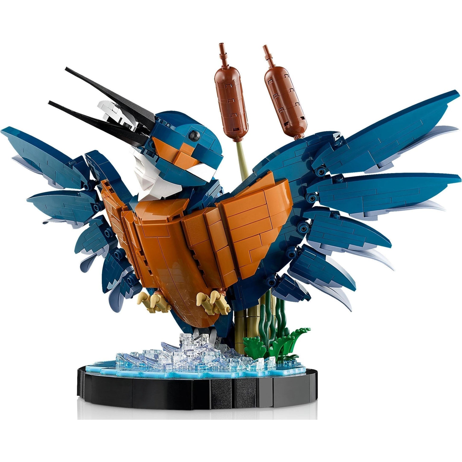 Kingfisher | Icons | 10331