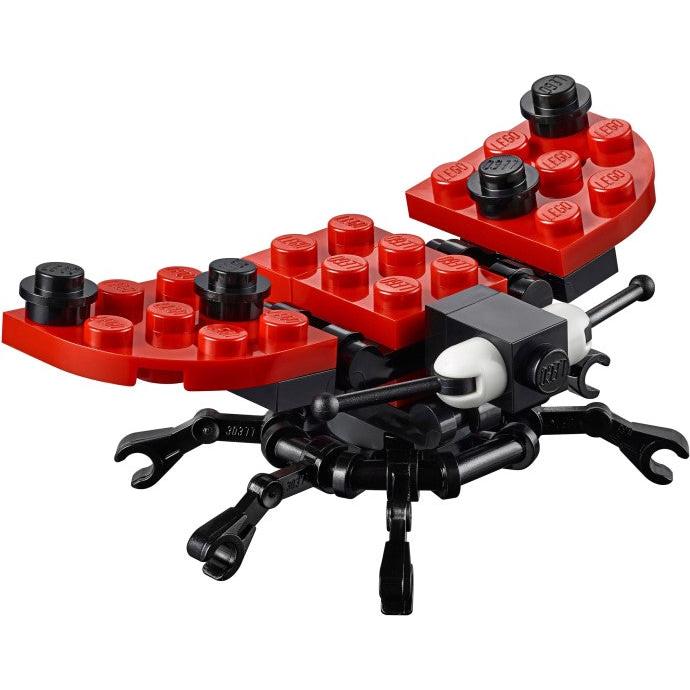 Ladybird | Promotional | 40324