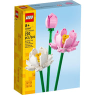 Lotus Flowers | Creator | 40647