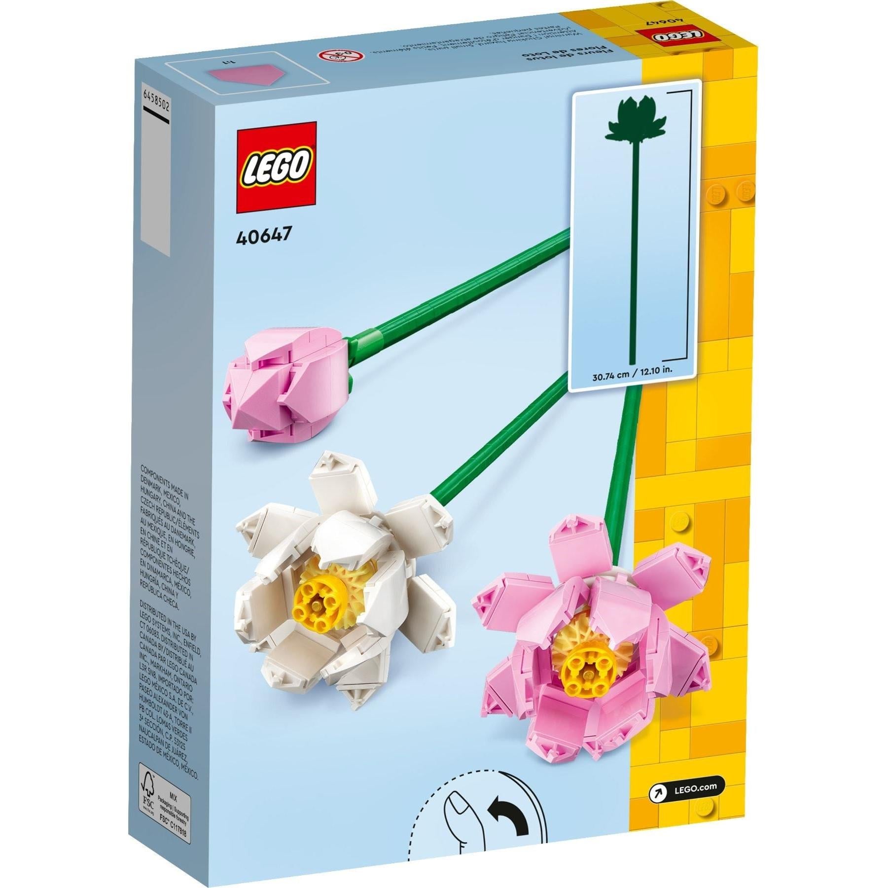 Fleurs de lotus | Créateur | 40647