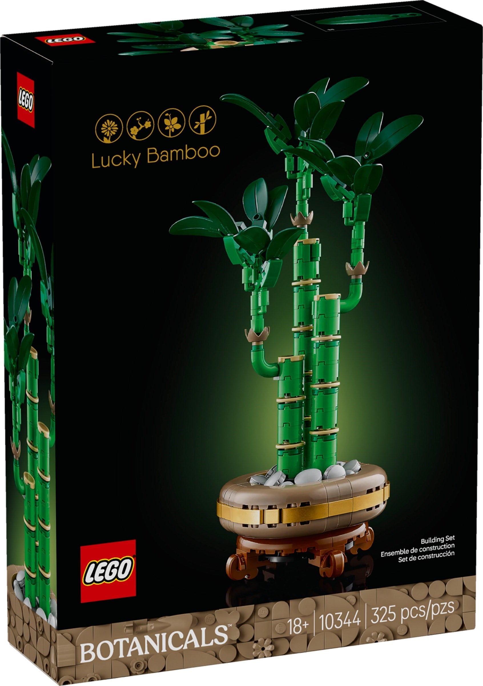 Lucky Bamboo | Botanicals | 10344