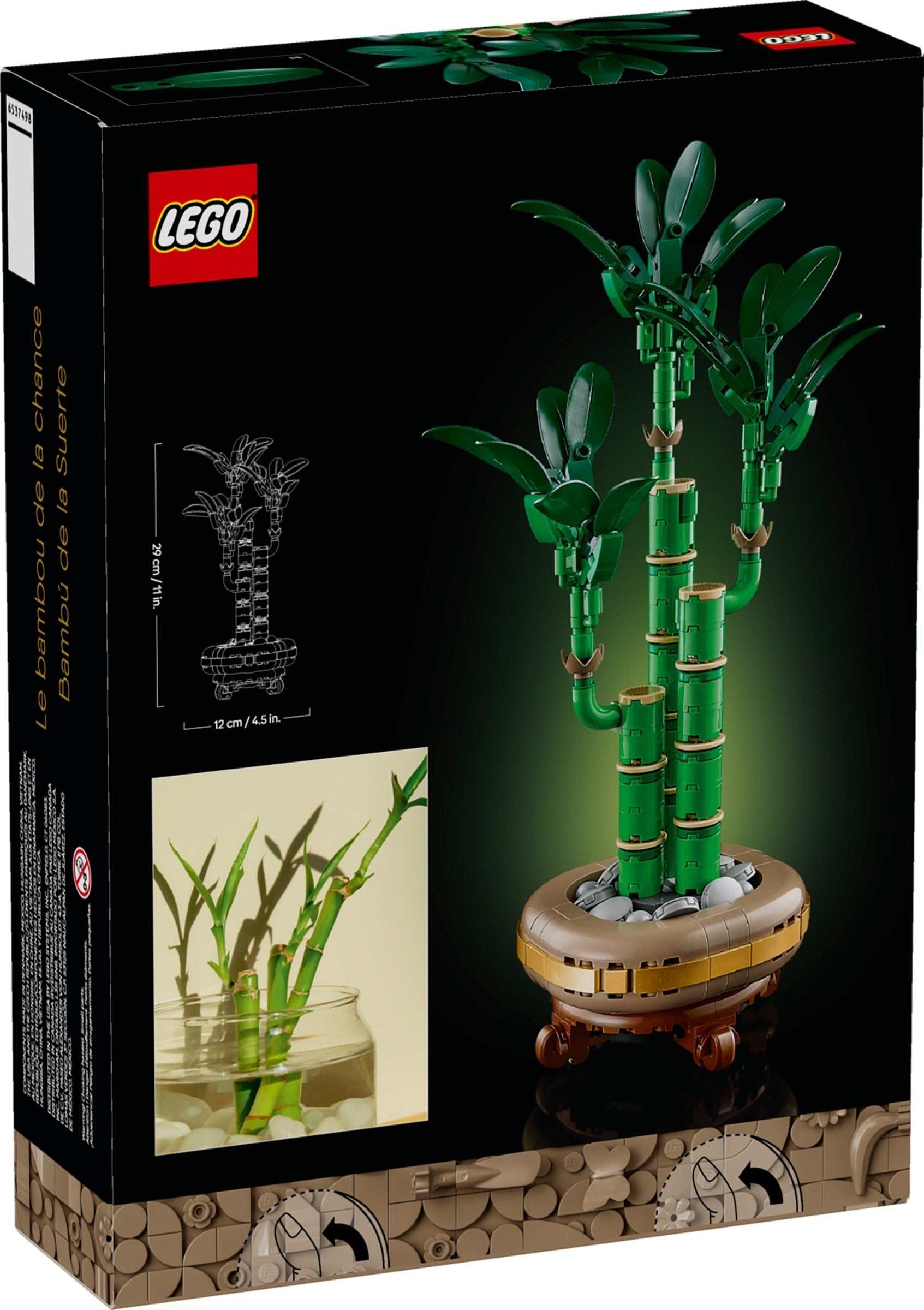 Lucky Bamboo | Botanicals | 10344