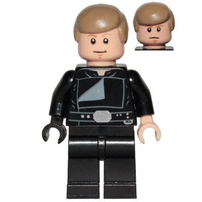 Luke Skywalker (Jedi Master, Endor, Dark Tan Hair, Stern / Smile) | sw0880