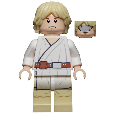 Luke Skywalker (Tatooine, Gray Visor on Reverse of Head) | sw0335
