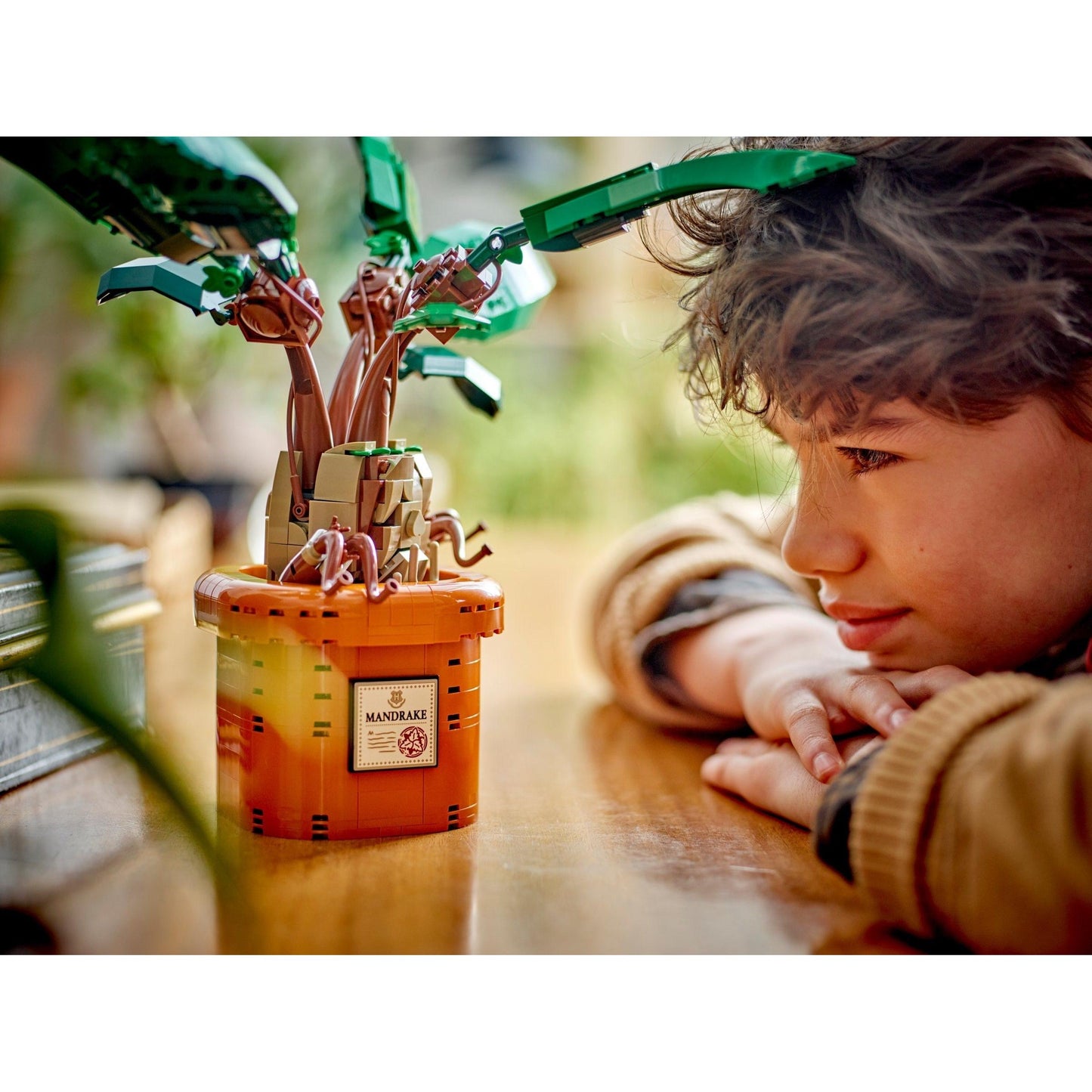 Mandrake | Harry Potter | 76433