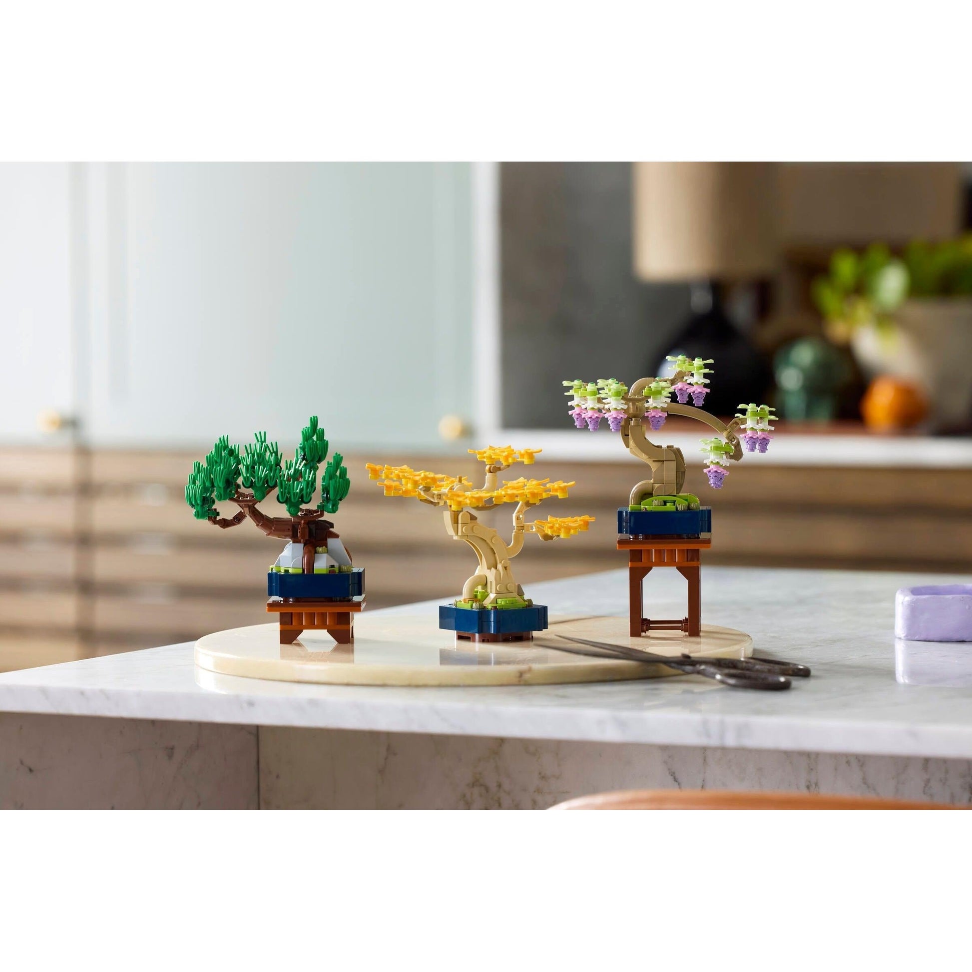 Mini Bonsai Trees | Botanicals | 10373