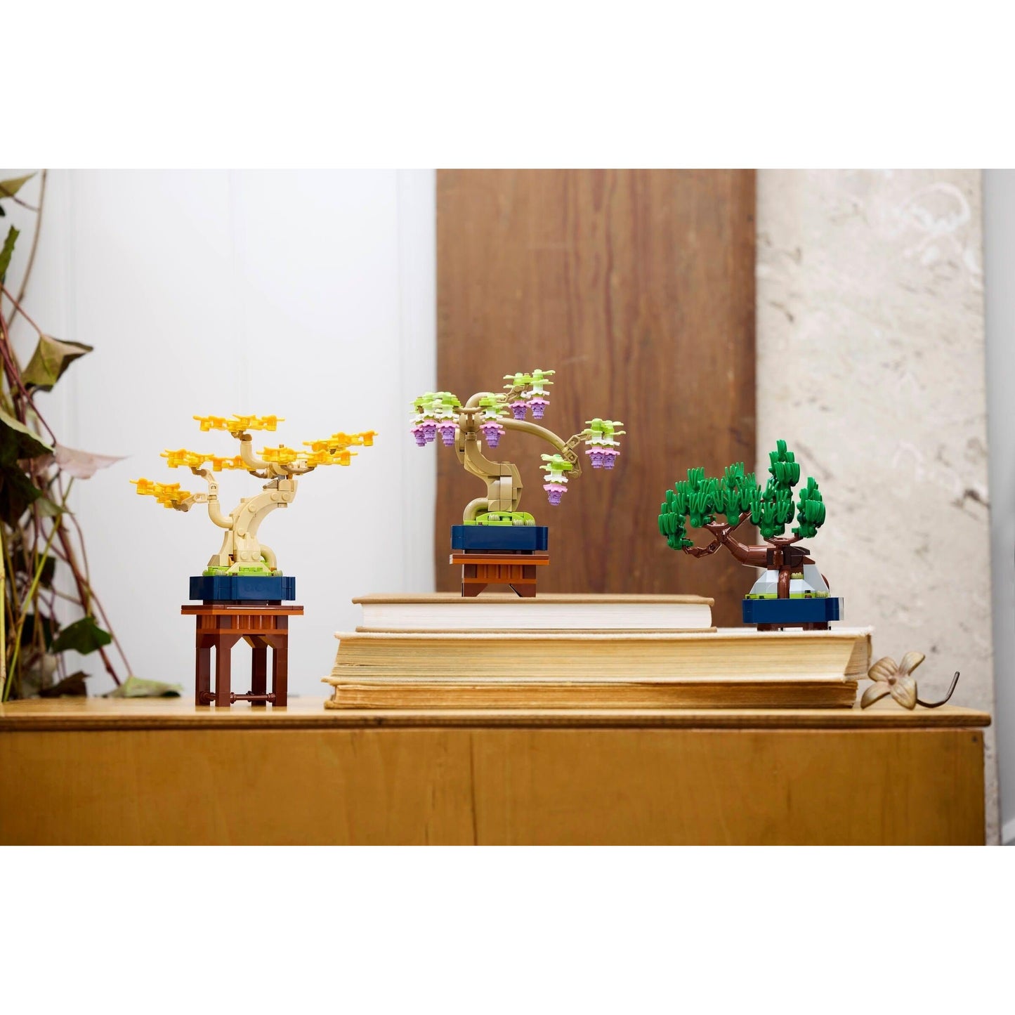 Mini Bonsai Trees | Botanicals | 10373
