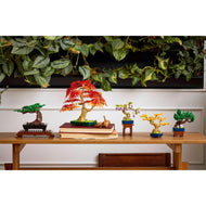 Mini Bonsai Trees | Botanicals | 10373