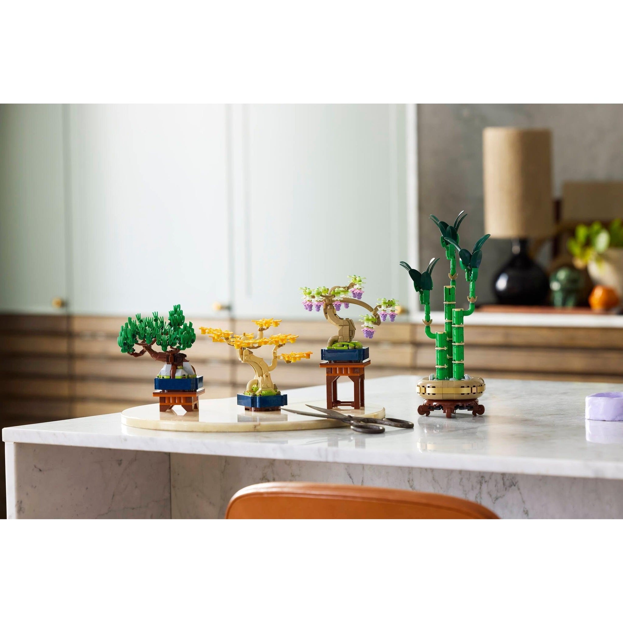 Mini Bonsai Trees | Botanicals | 10373