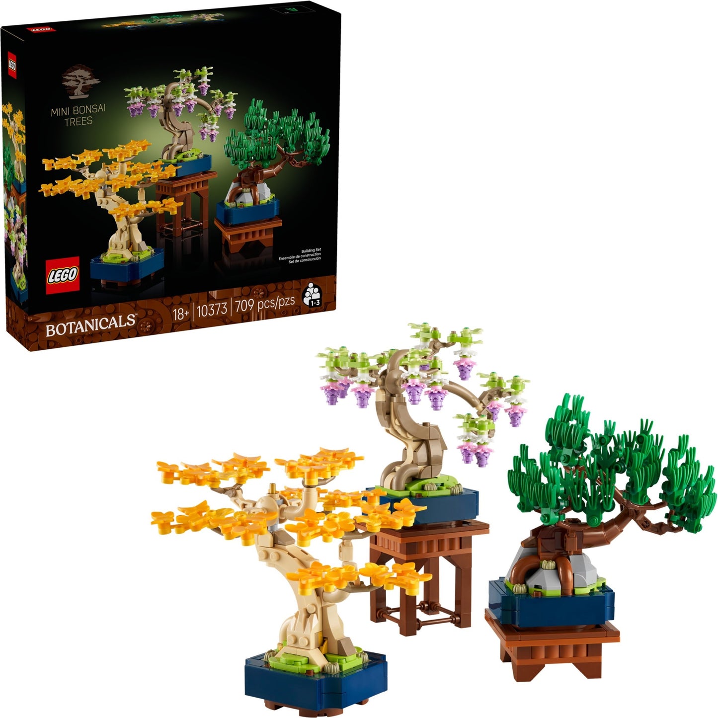 Mini Bonsai Trees | Botanicals | 10373