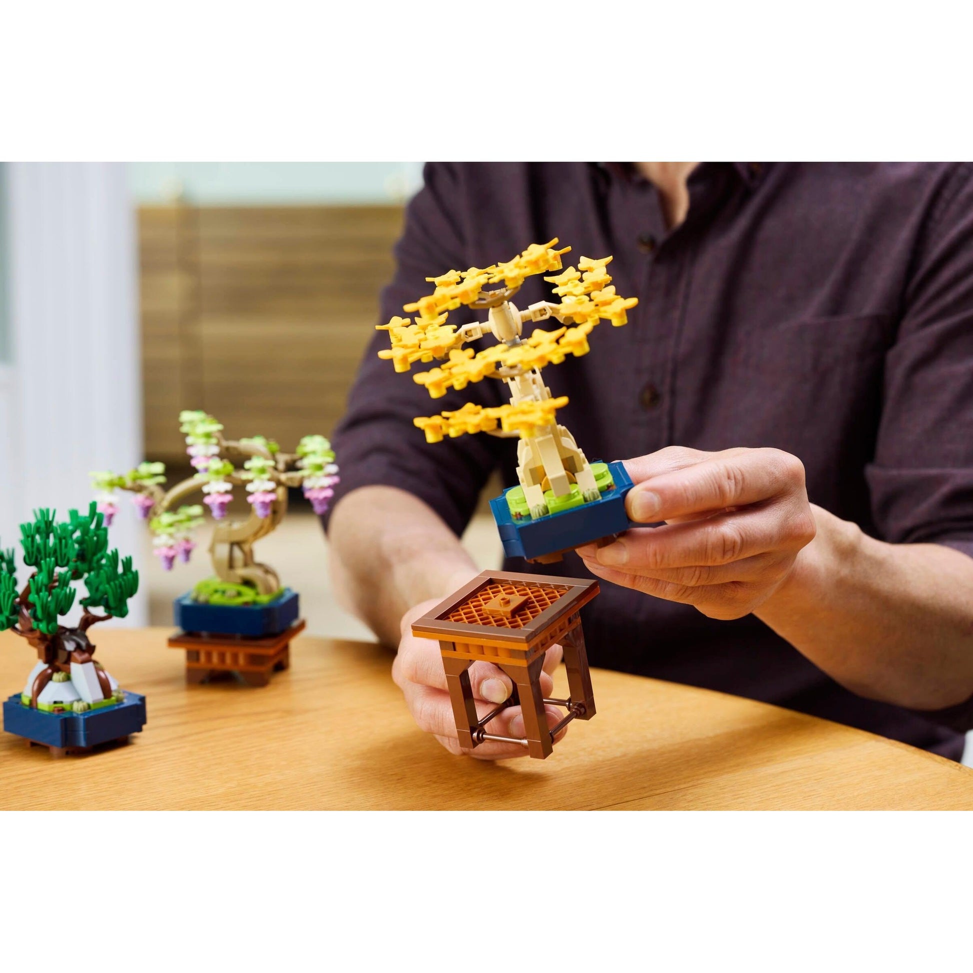 Mini Bonsai Trees | Botanicals | 10373