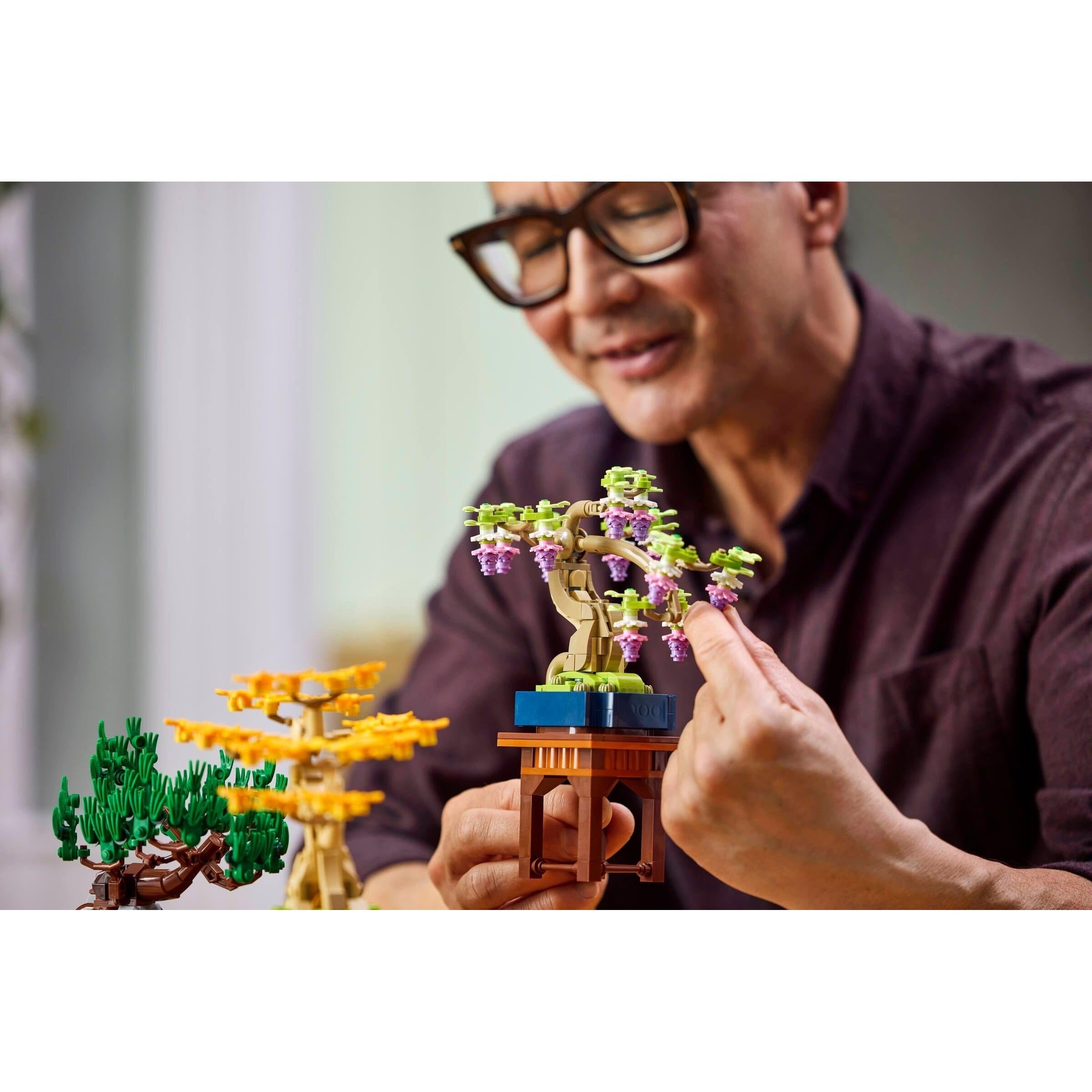 Mini Bonsai Trees | Botanicals | 10373