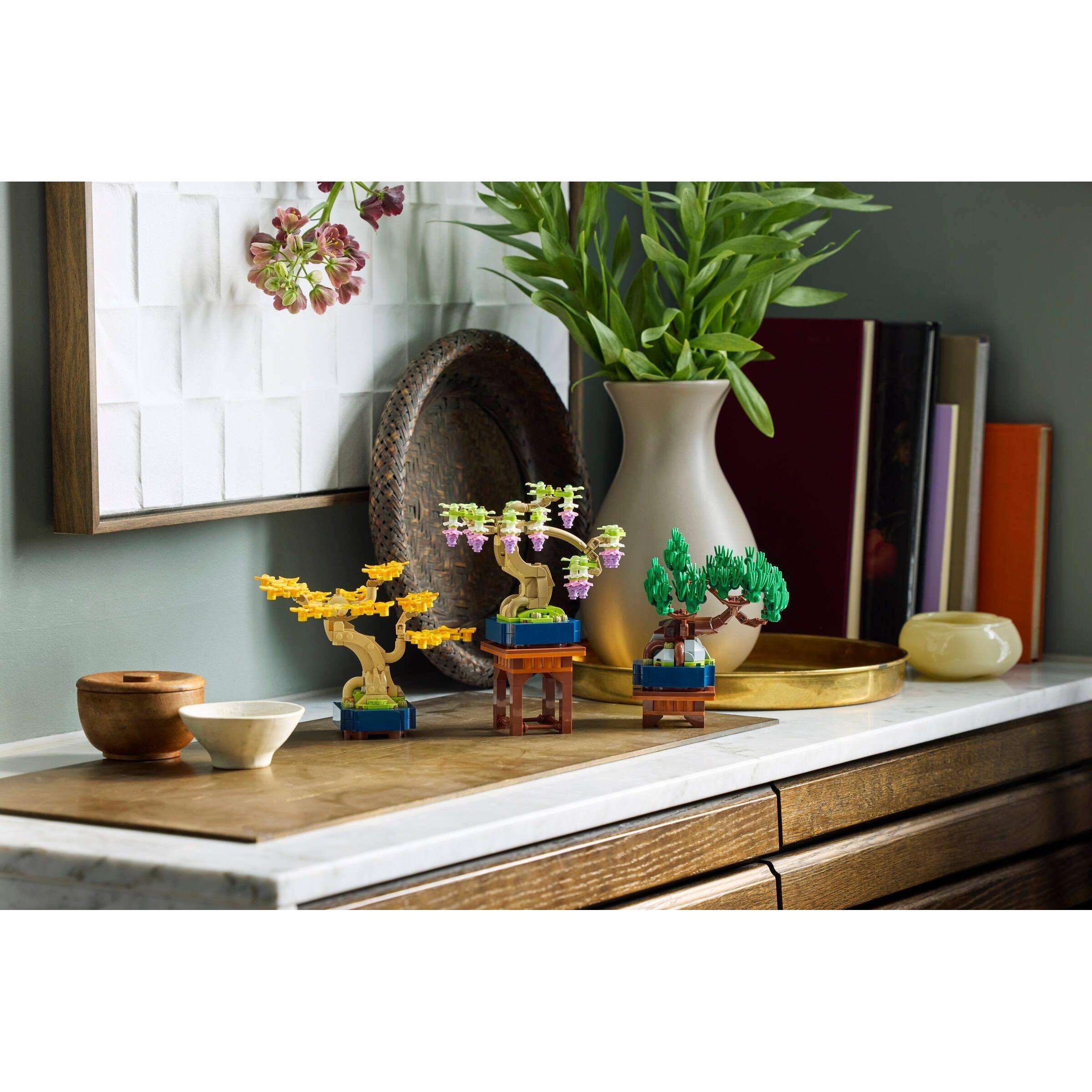 Mini Bonsai Trees | Botanicals | 10373