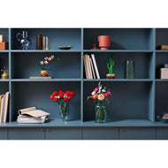 Mini Orchidée | Plantes | 10343