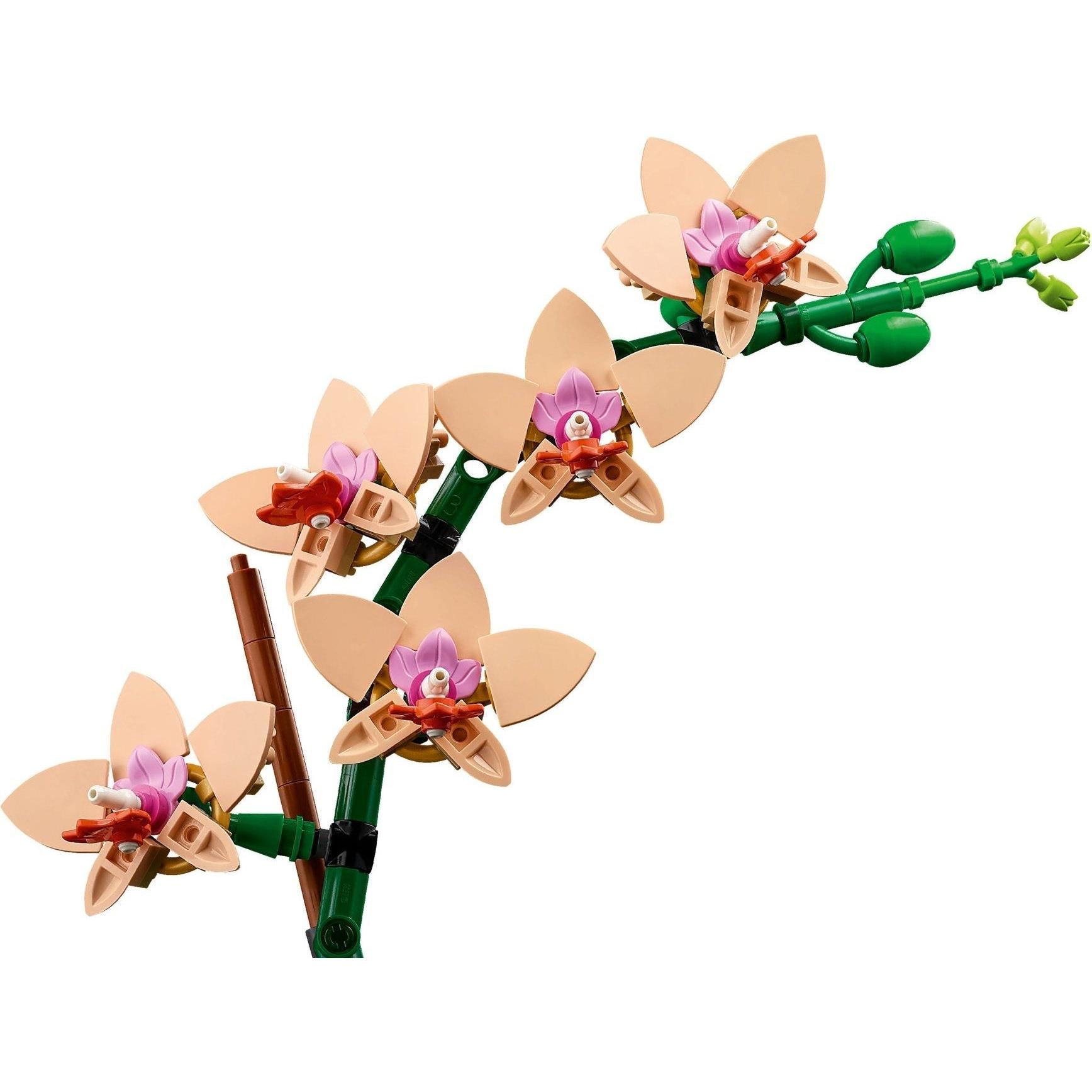 Mini Orchid | Botanicals | 10343