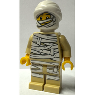 Mummy Costume Guy | hol396