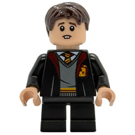 Neville Longbottom - Gryffindor Robe Open, Black Short Legs | hp543