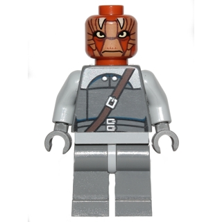 Nikto Guard | sw0496
