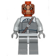 Nikto Guard | sw0496