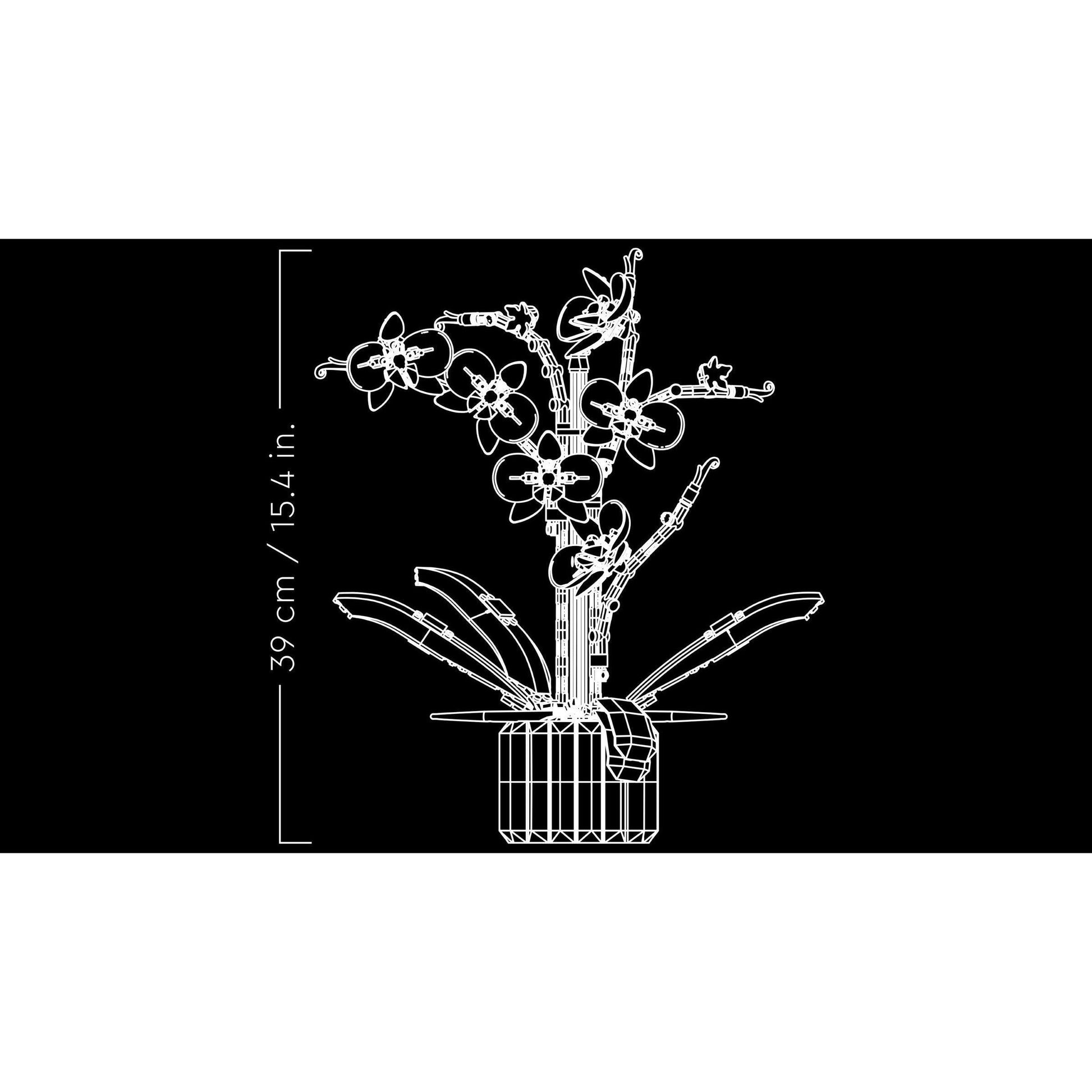 Orchidée | Icônes | 10311