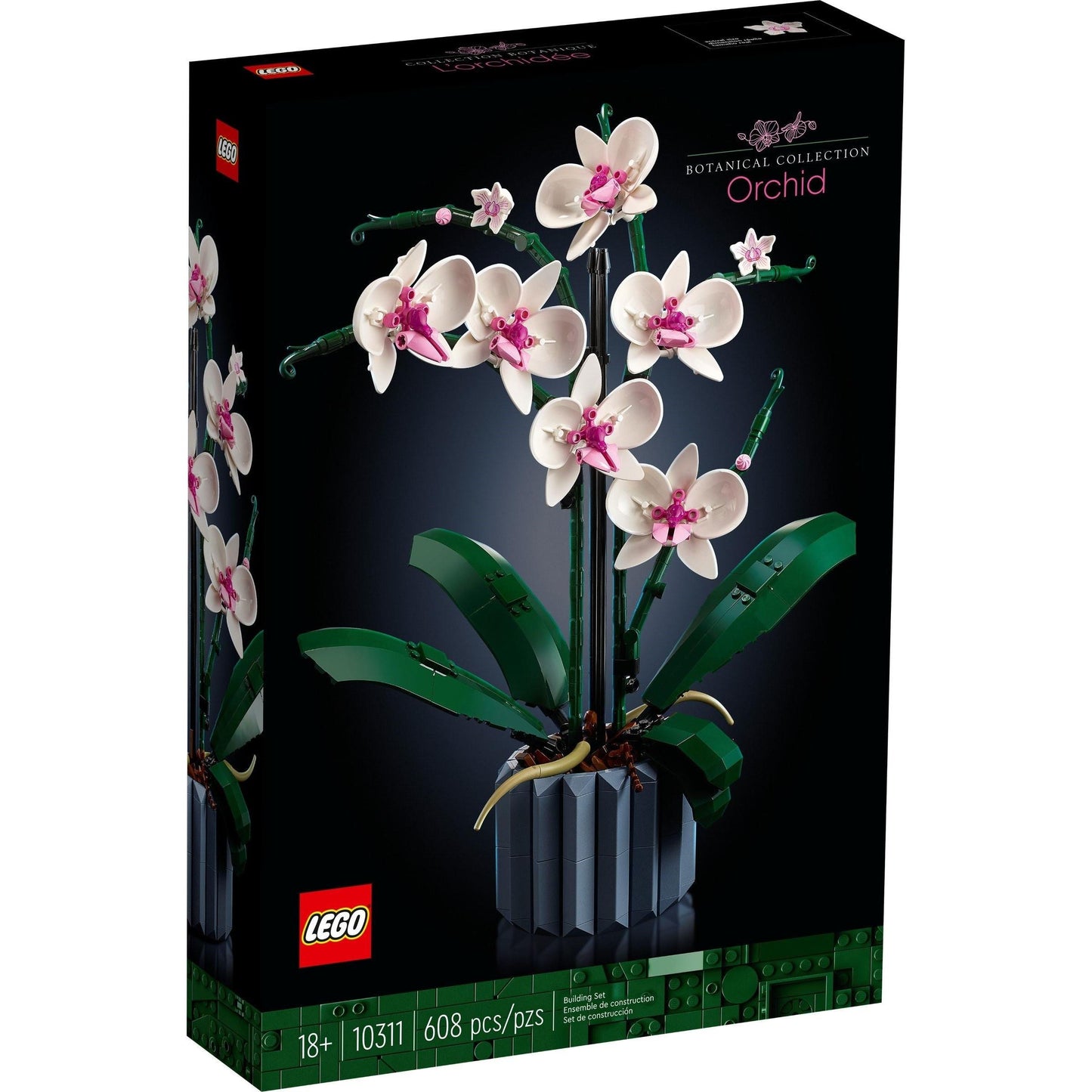 Orchid | Icons | 10311