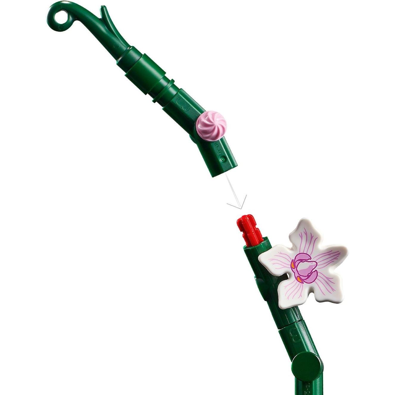 Orchidée | Icônes | 10311