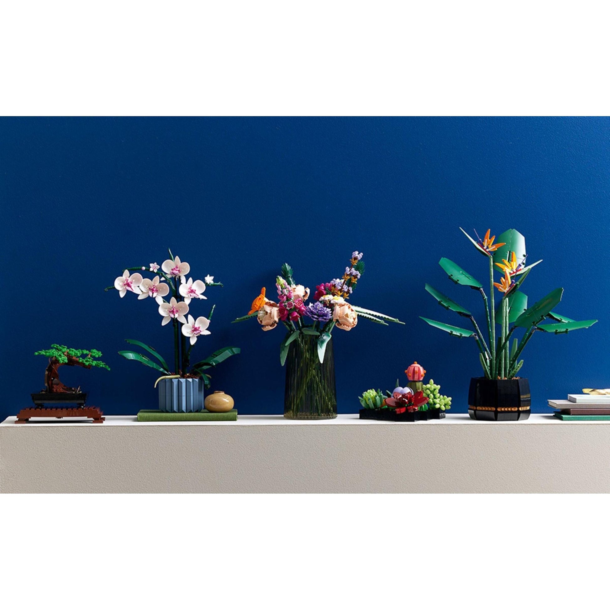Orchidée | Icônes | 10311