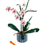 Orchidée | Icônes | 10311