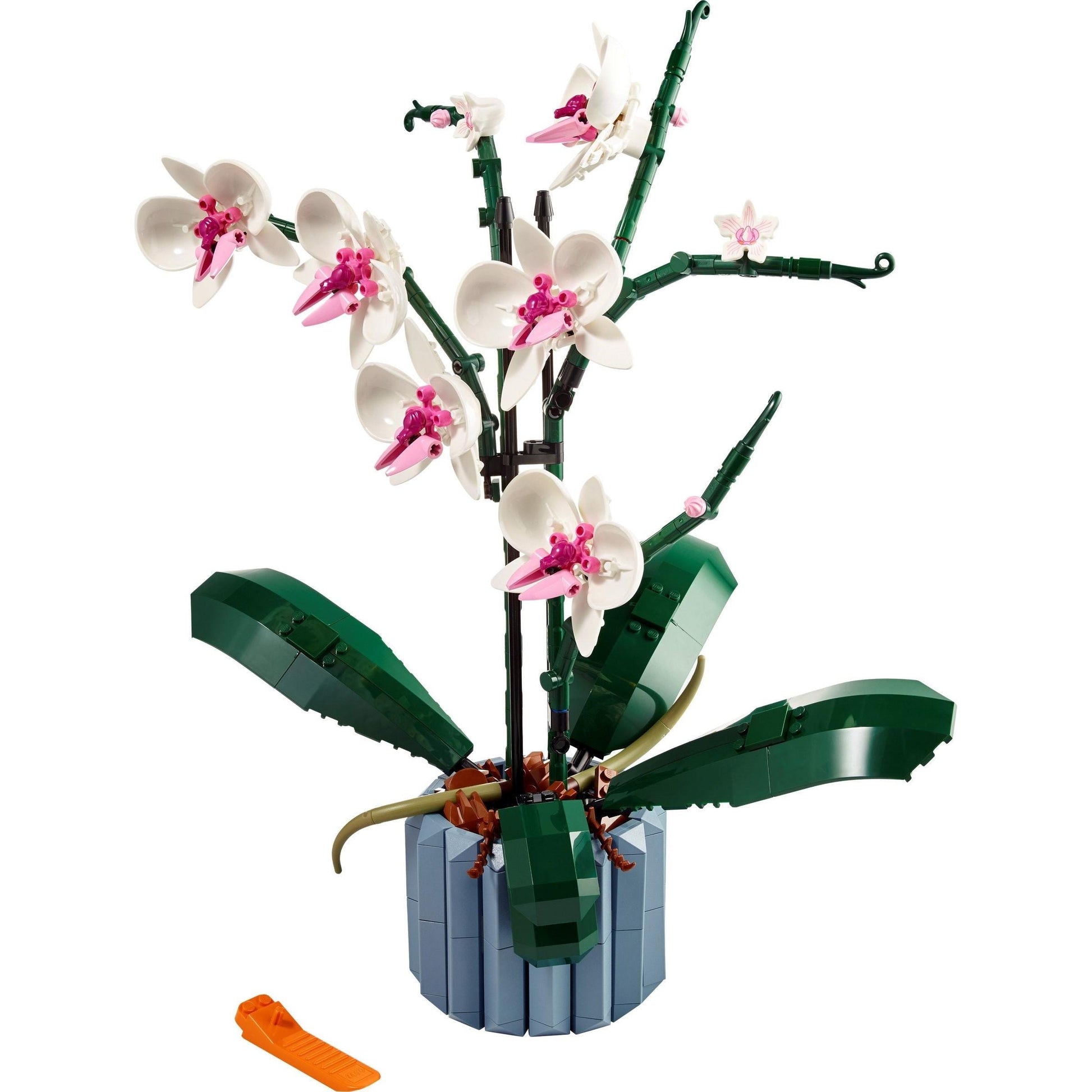 Orchidée | Icônes | 10311