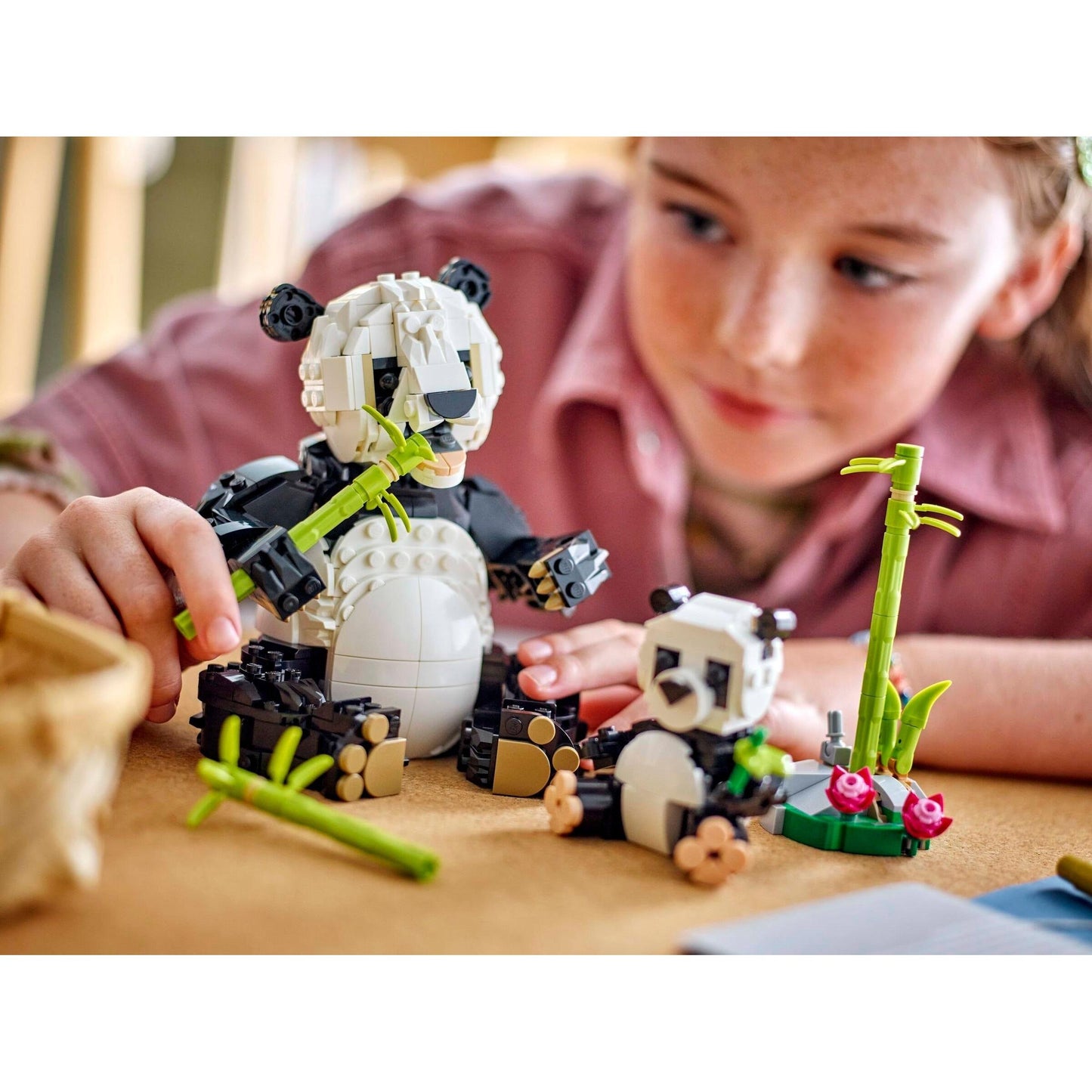 Panda Family | Creator | 31165