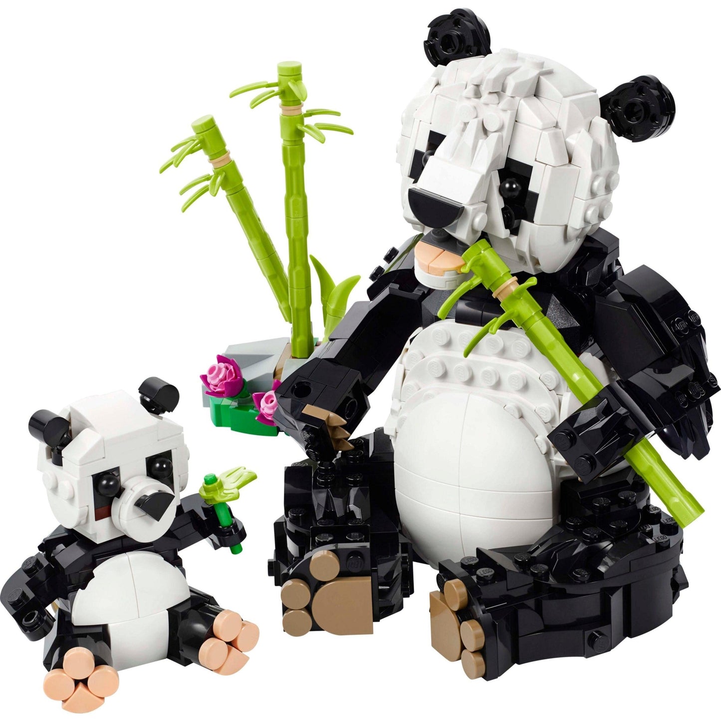 Panda Family | Creator | 31165