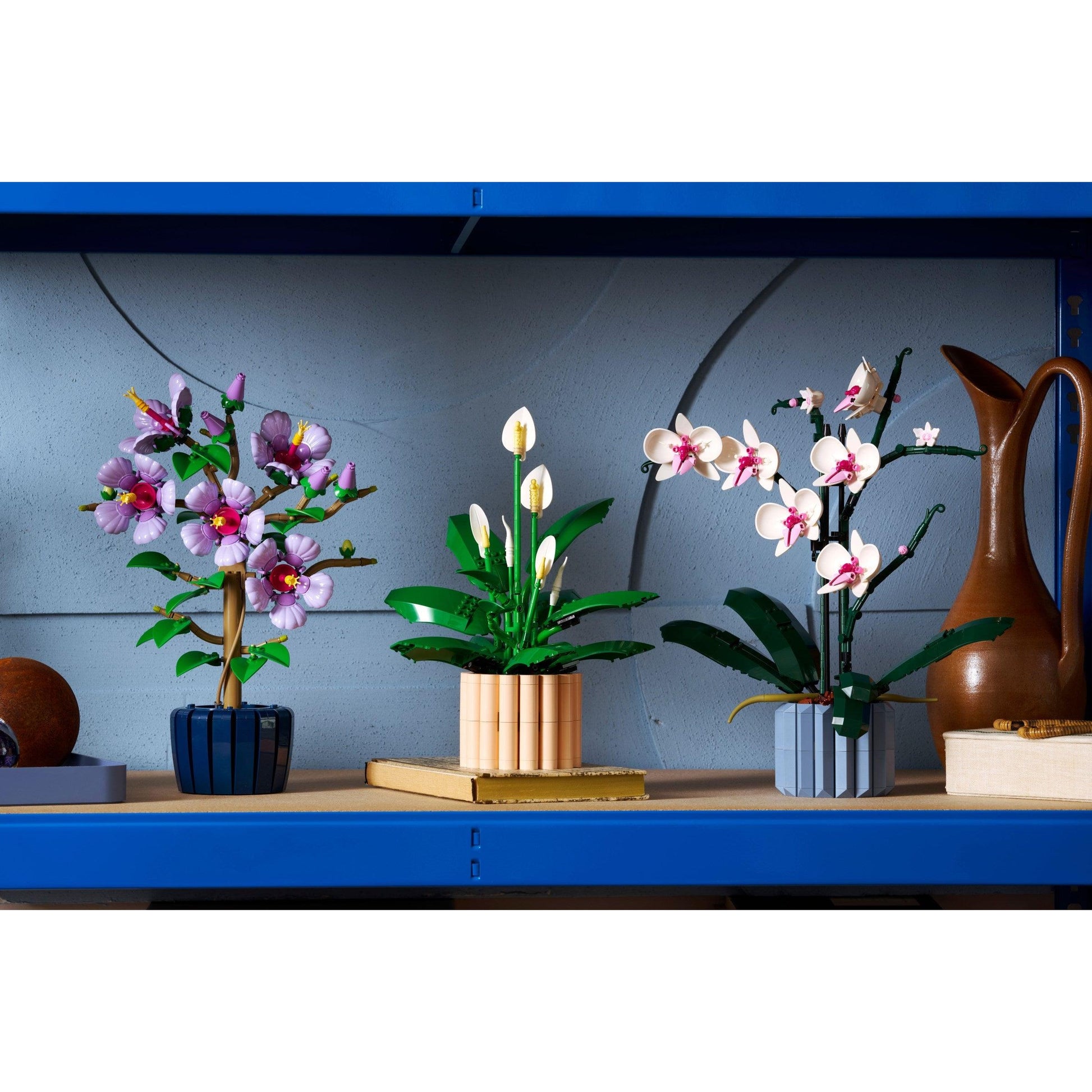 Lys de la paix | Plantes | 11504