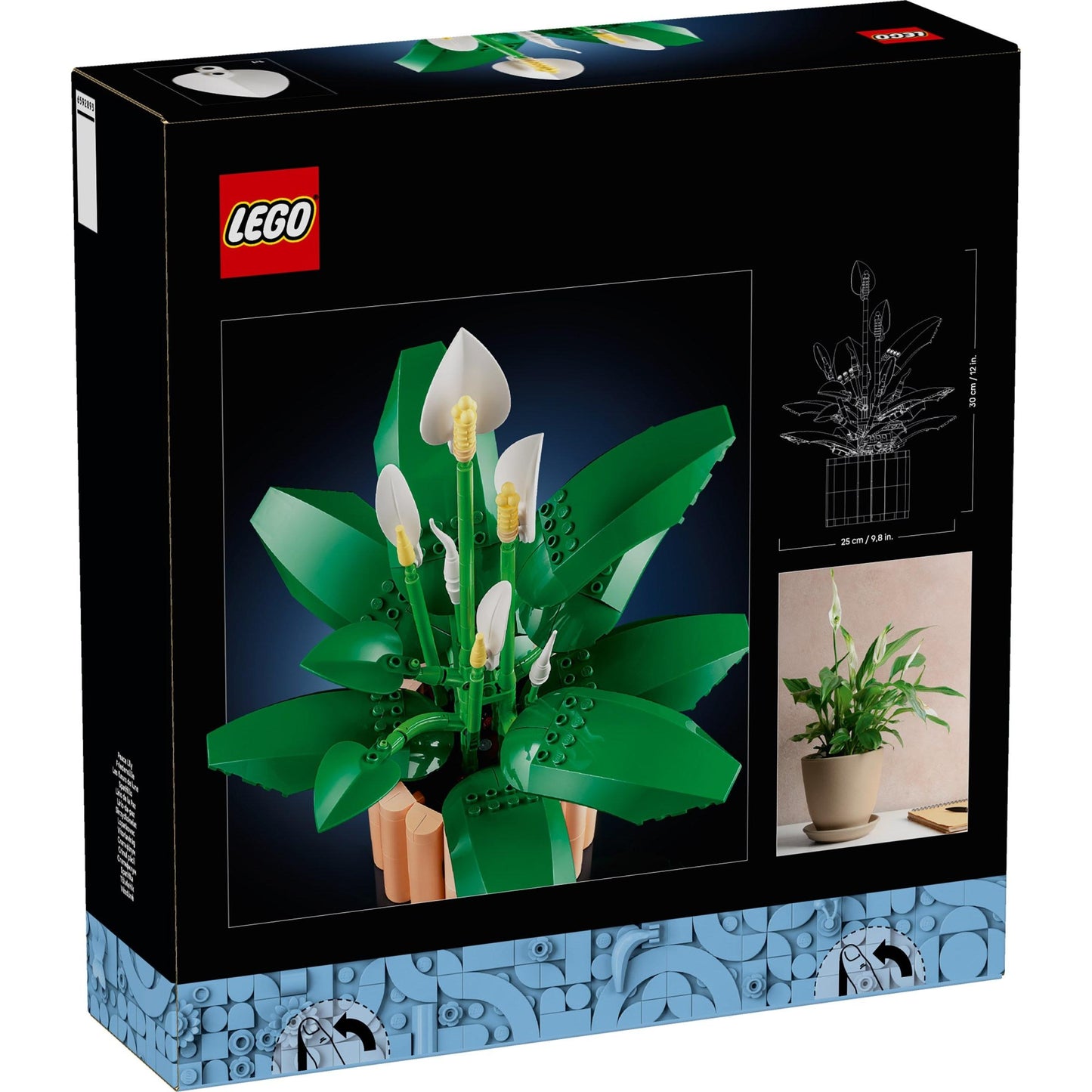 Peace Lily | Botanicals | 11504