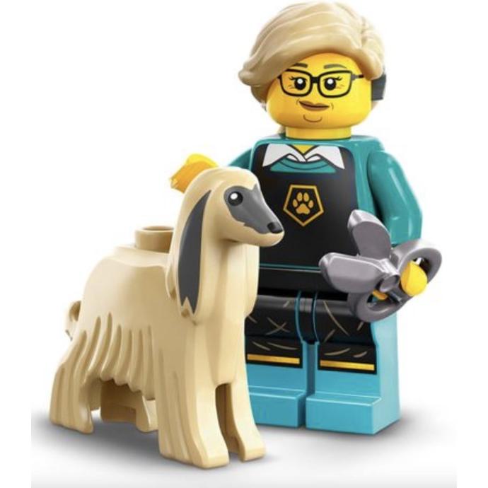 Pet Groomer | Collectable Minifigures | 71045-12