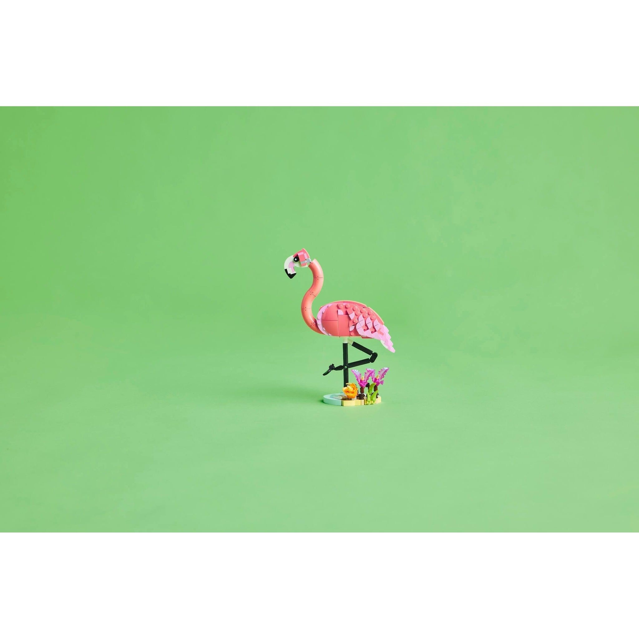 Pink Flamingo | Creator | 31170