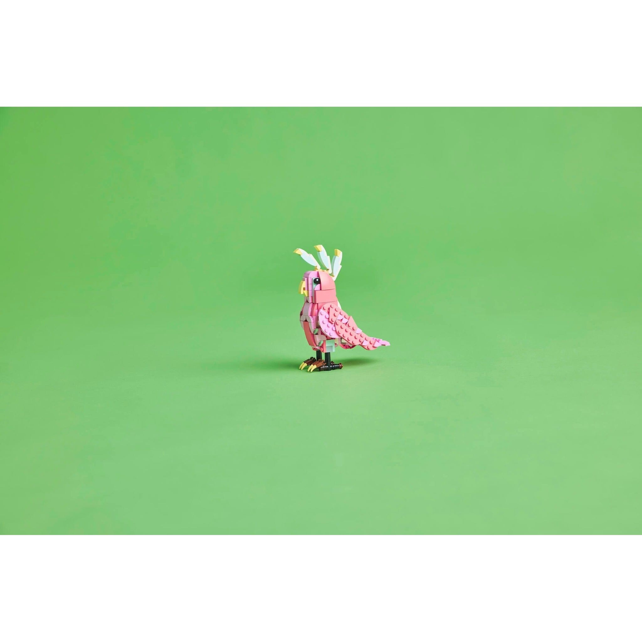 Pink Flamingo | Creator | 31170