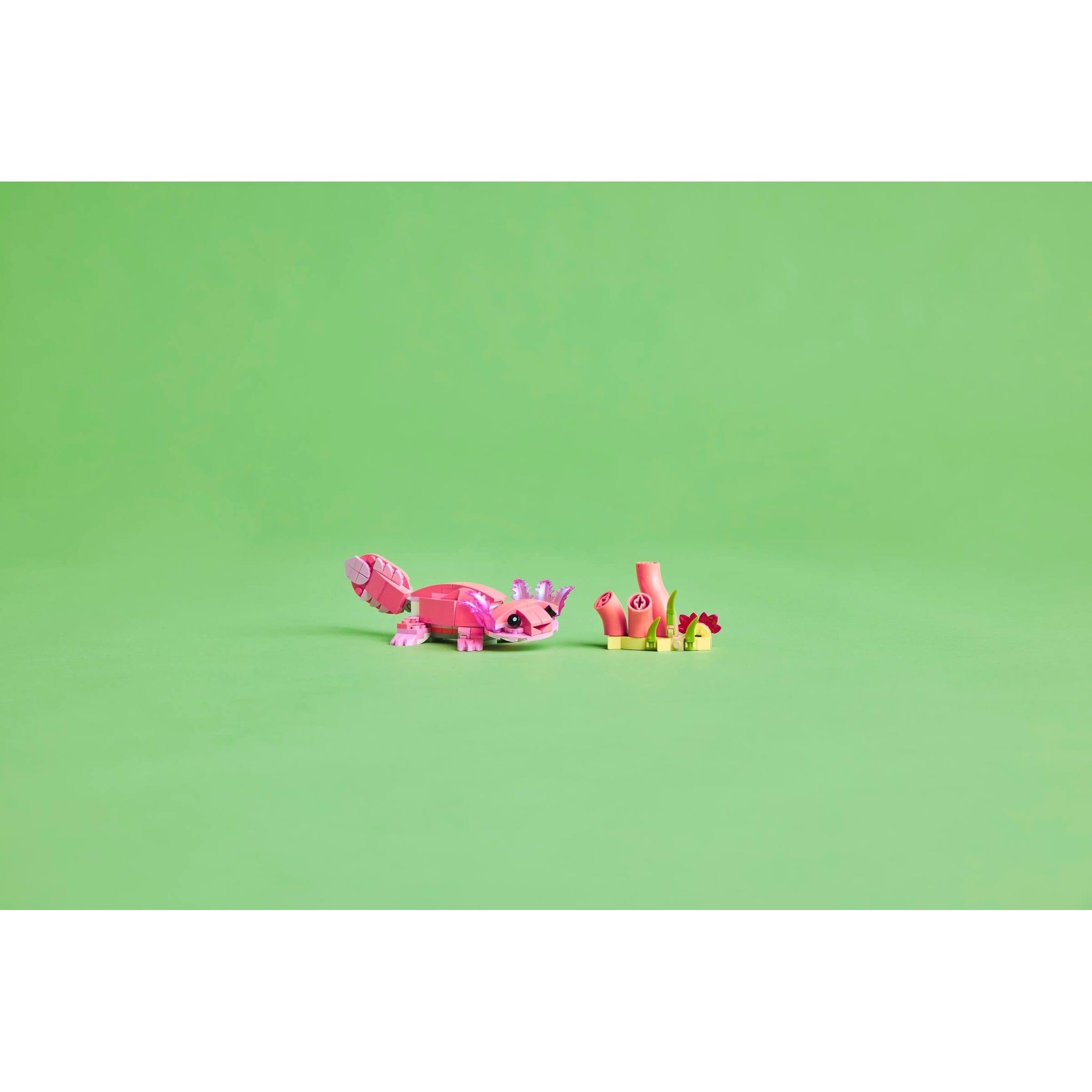 Pink Flamingo | Creator | 31170