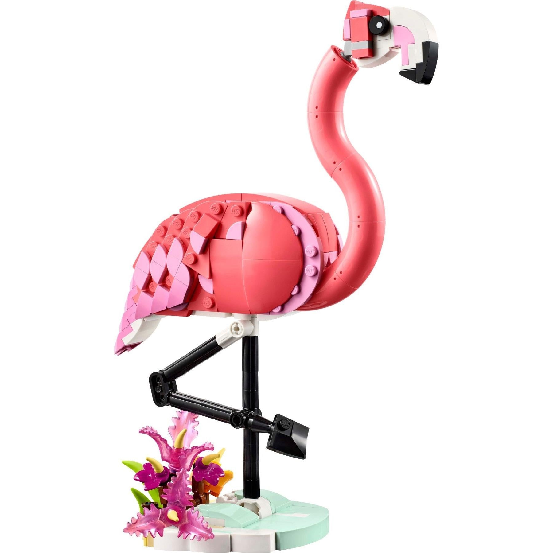 Pink Flamingo | Creator | 31170