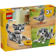 Playful Cat | Creator | 31163