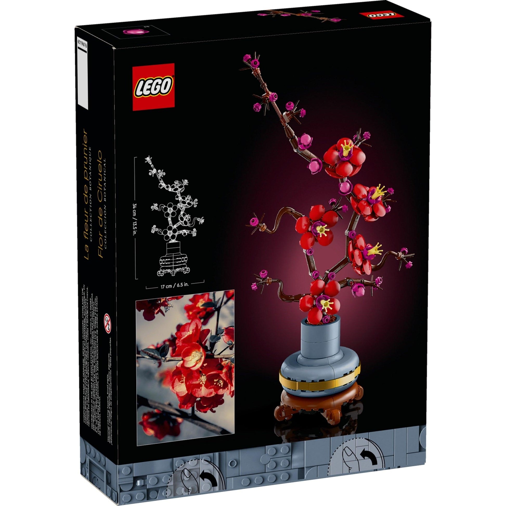 Fleur de prunier | Icônes | 10369