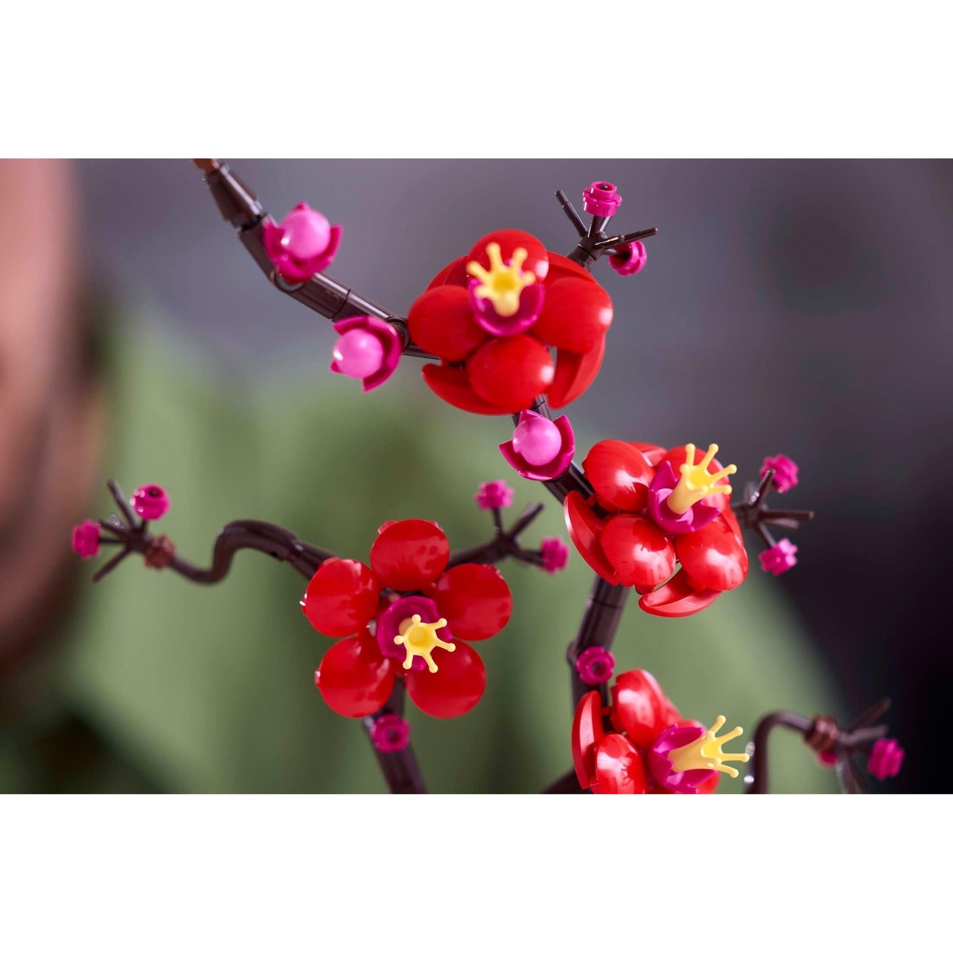 Fleur de prunier | Icônes | 10369