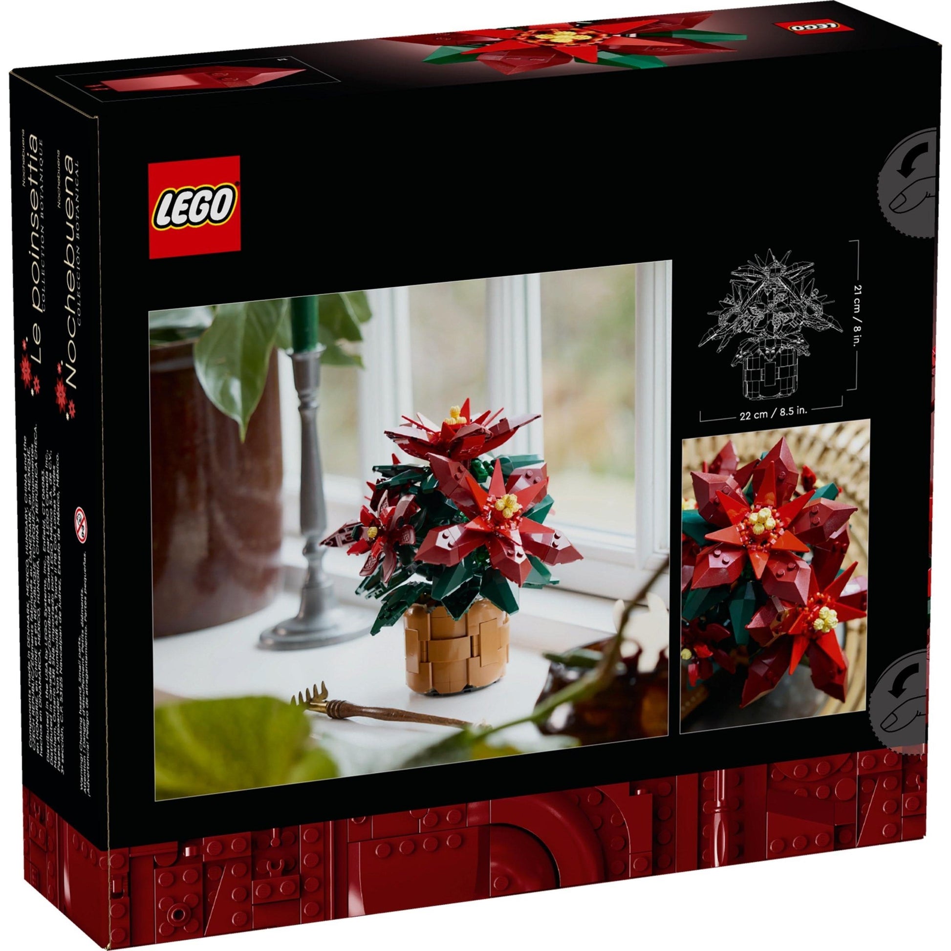 Poinsettia | Icônes | 10370
